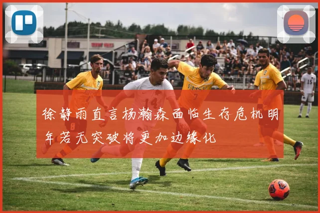 徐静雨直言杨瀚森面临生存危机明年若无突破将更加边缘化