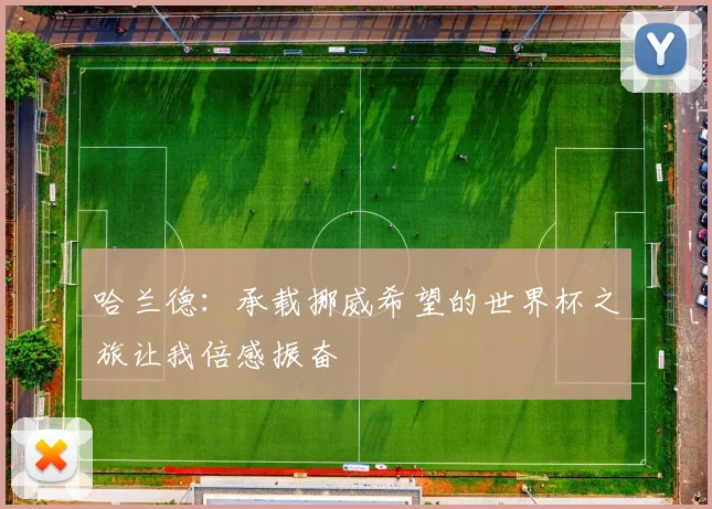 哈兰德：承载挪威希望的世界杯之旅让我倍感振奋